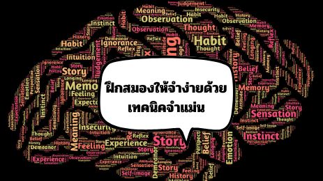 เทคนิคจำแม่น แบบไม่ฝืน สมองจำได้เองโดยไม่ต้องท่องซ้ำ